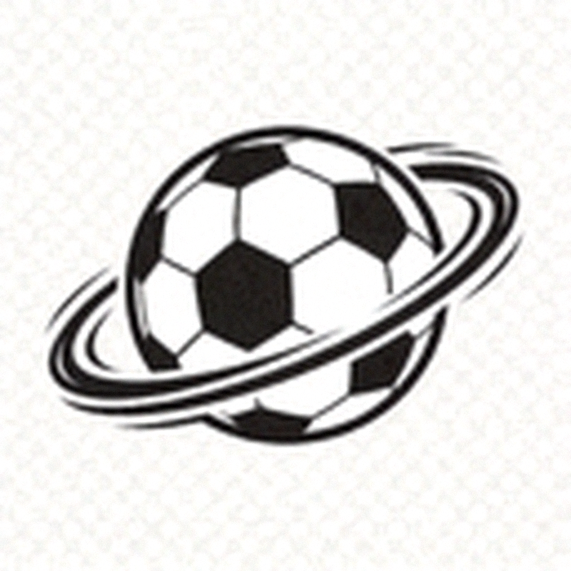 世界杯赛场内观众欢呼与球员庆祝进球的盛大场面